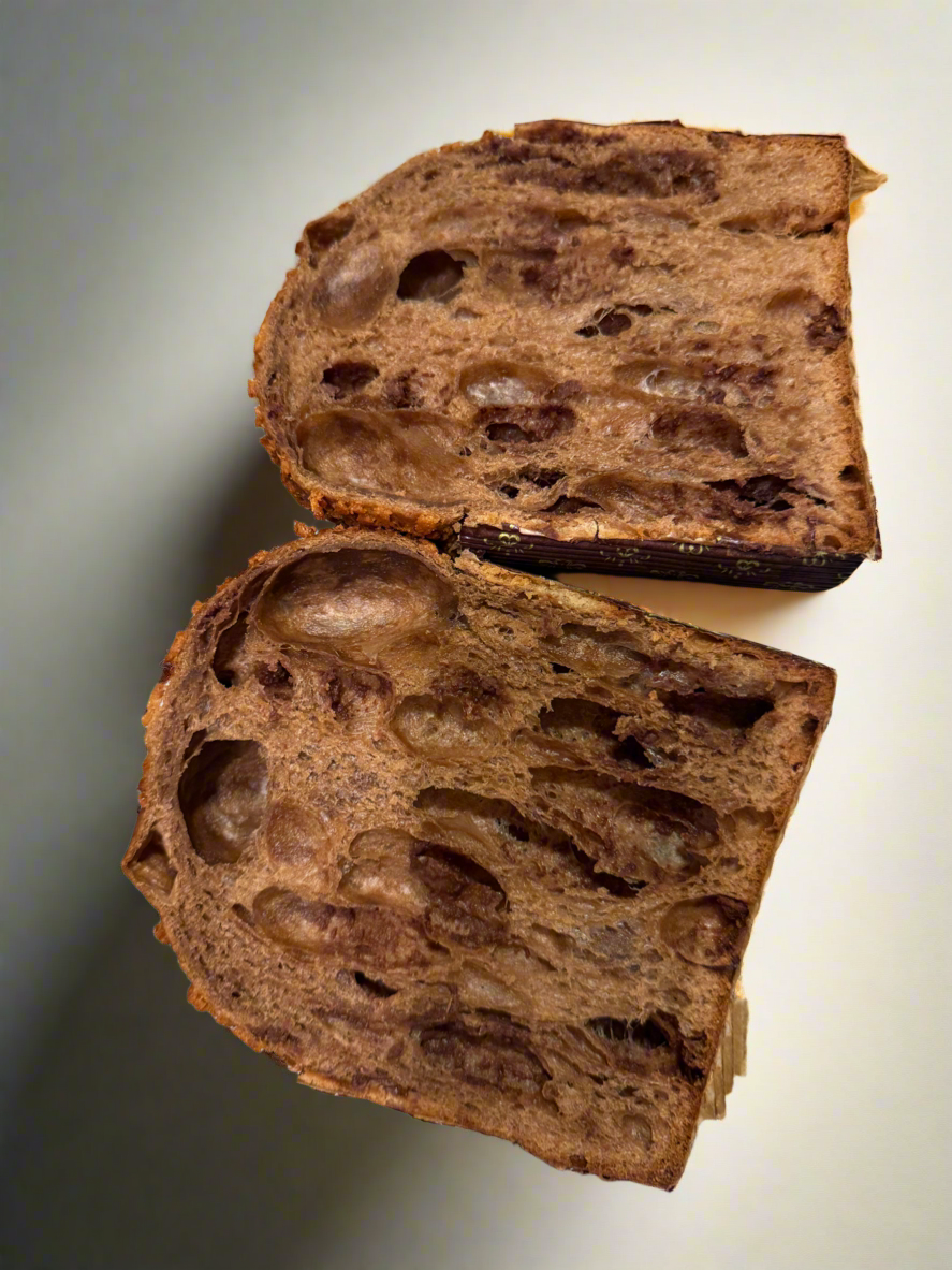 Chocolate Panettone
