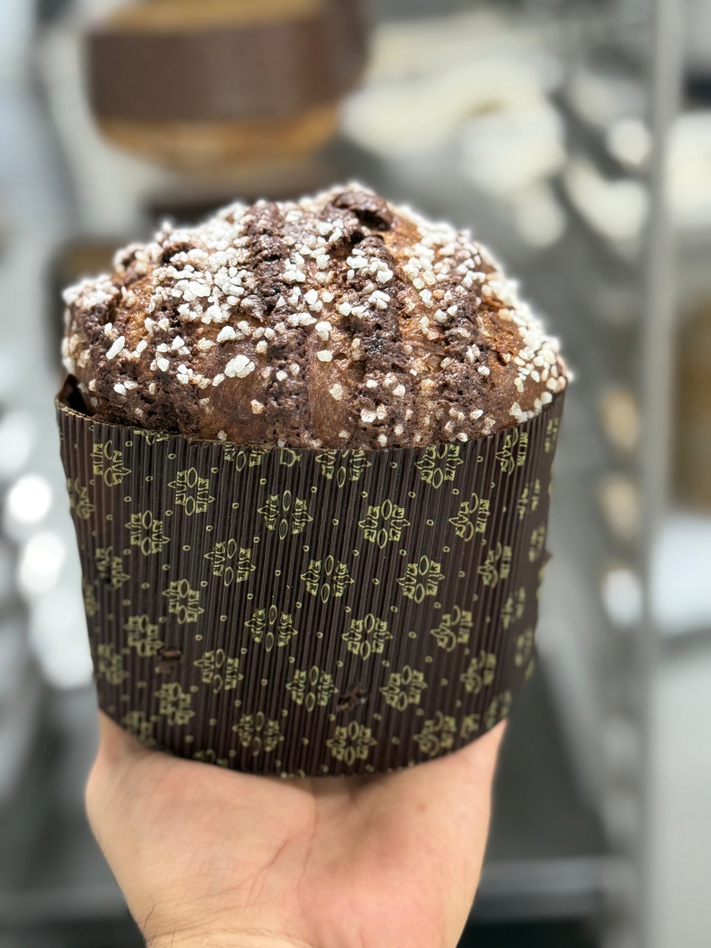 Chocolate Panettone